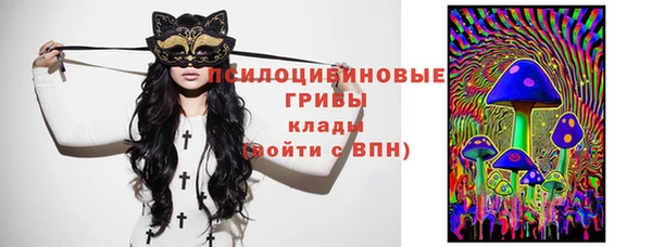 стаф Пестово
