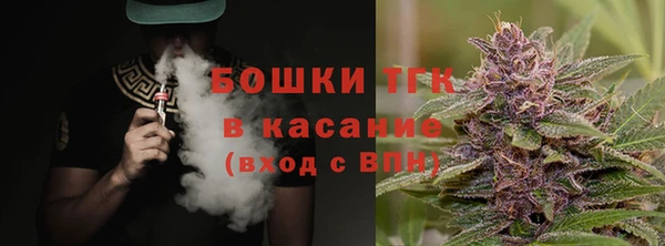 крисы Нестеровская