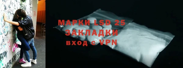 ГАЛЛЮЦИНОГЕННЫЕ ГРИБЫ Осинники