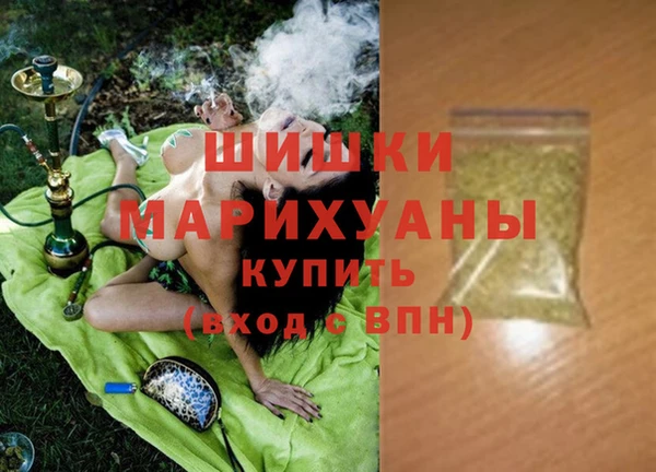 ГАЛЛЮЦИНОГЕННЫЕ ГРИБЫ Осинники