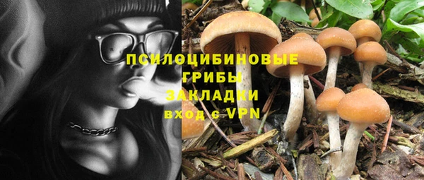 прущие крисы Осташков