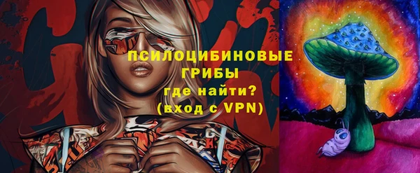 ГАЛЛЮЦИНОГЕННЫЕ ГРИБЫ Осинники