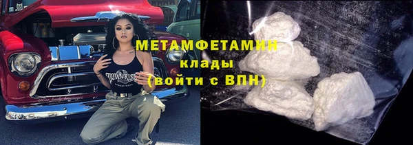 ГАЛЛЮЦИНОГЕННЫЕ ГРИБЫ Осинники