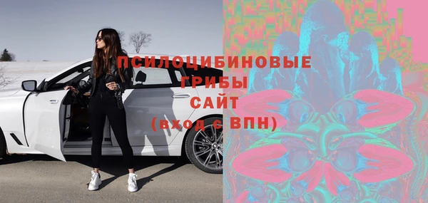 стаф Пестово