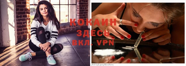 ГАЛЛЮЦИНОГЕННЫЕ ГРИБЫ Осинники