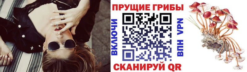 Галлюциногенные грибы мицелий  hydra маркетплейс  Закаменск 